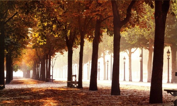 Unknown Artist Champs-Elysees